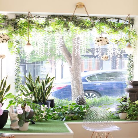 Bliss Hair and Nail Studio, beauty salon in Danville, VA